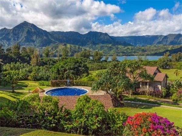 Princeville Condo 979655