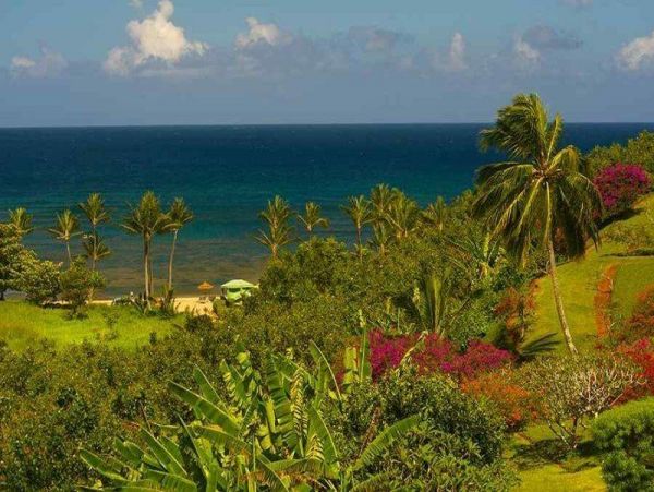 Princeville Condo 979656