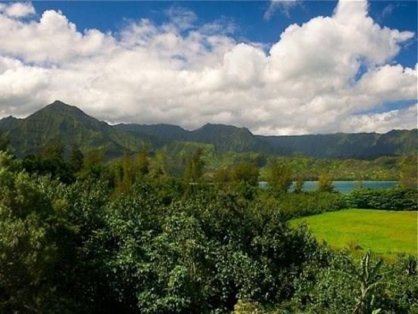 Princeville Condo 979656