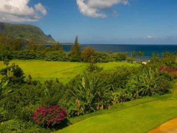 Princeville Condo 979656