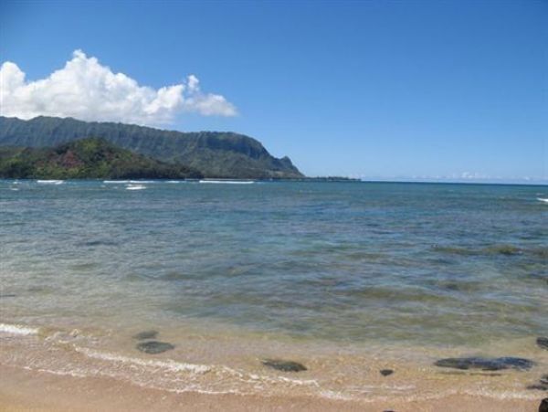 Princeville Condo 979657