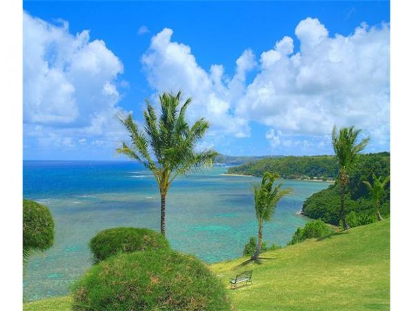 Princeville Condo 979663