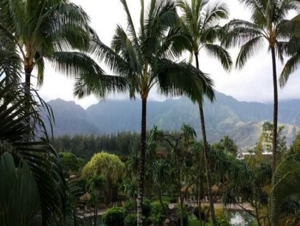 Princeville Condo 979666