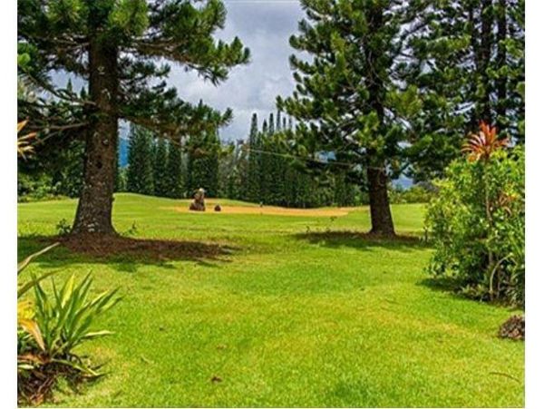 Princeville Home 979669