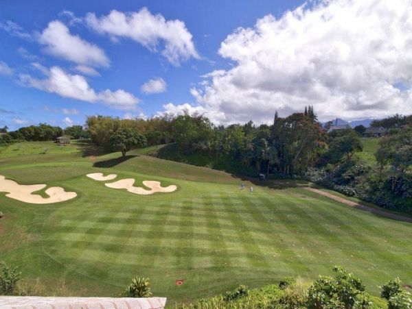 Princeville Condo 979673