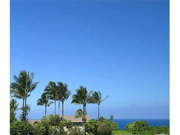 Princeville Condo 979677