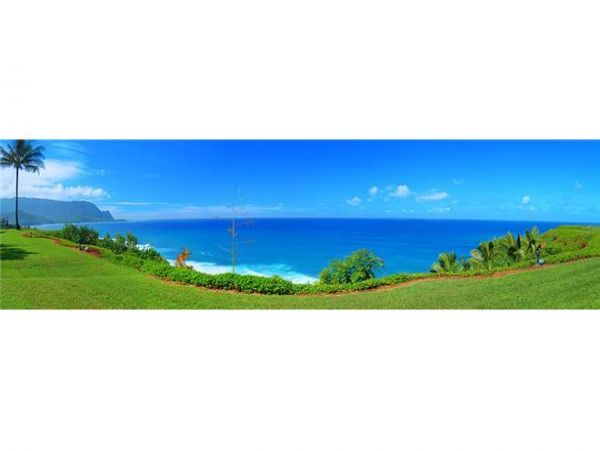 Princeville Condo 979680