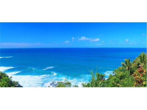 Princeville Condo 979680