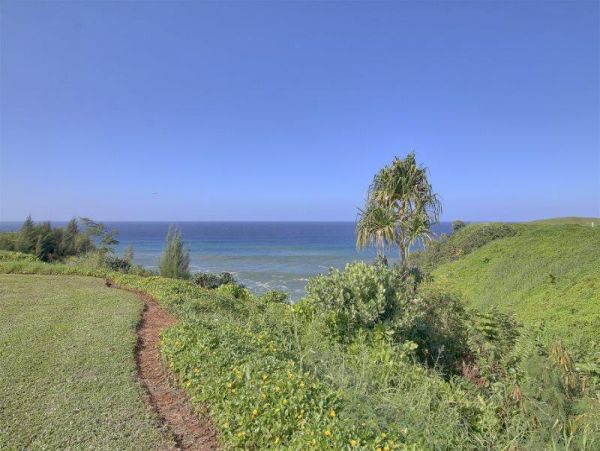 Princeville Condo 979681
