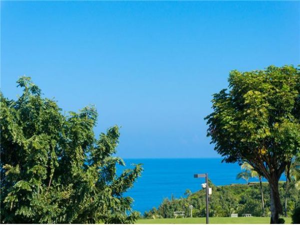 Princeville Condo 979686