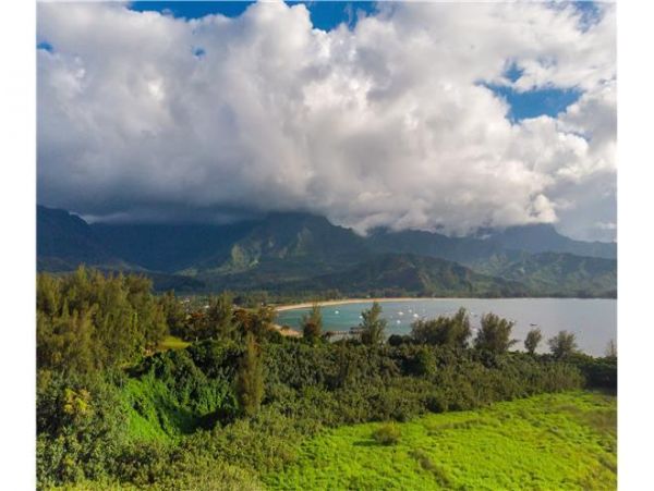 Princeville Condo 979698