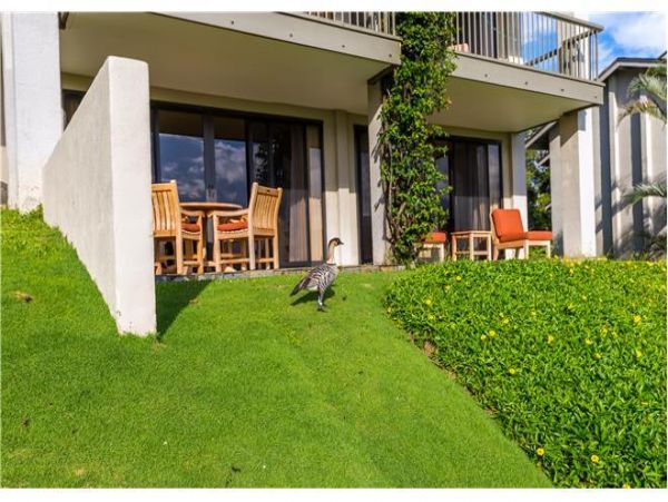 Princeville Condo 979698