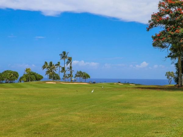 Beautiful Vacation Home in Princeville Ocean Views Sleeps 8