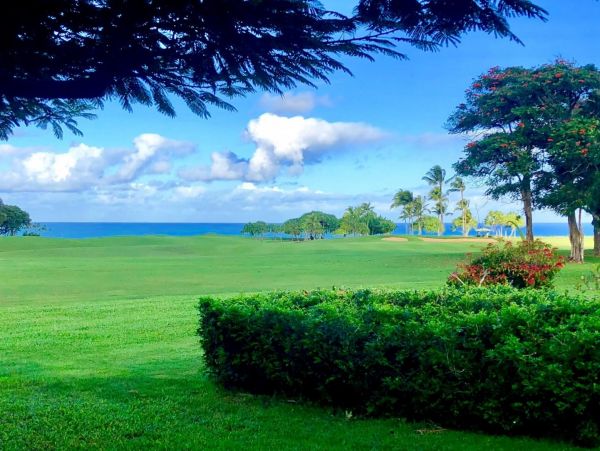 Beautiful Vacation Home in Princeville Ocean Views Sleeps 8