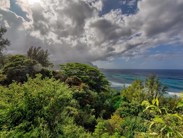 Princeville Condo 979724