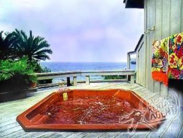 Princeville Home 979725