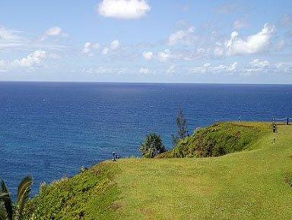 Princeville Condo 979727