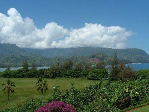 Princeville Condo 979728