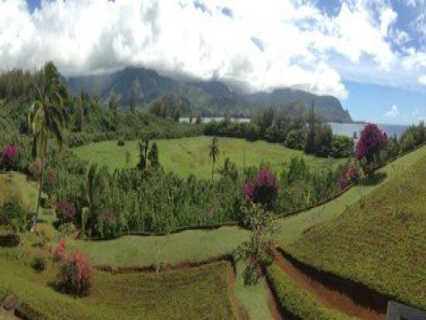 Princeville Condo 979728