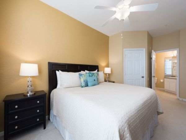 Orlando Home 979738