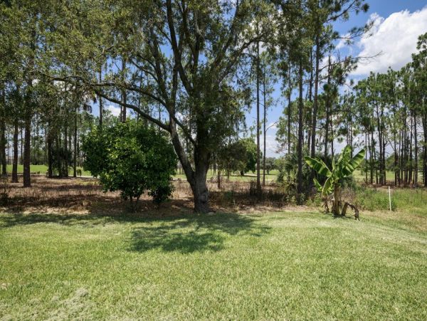 Orlando Home 979758