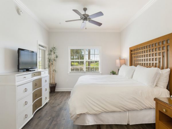 Orlando Home 979783