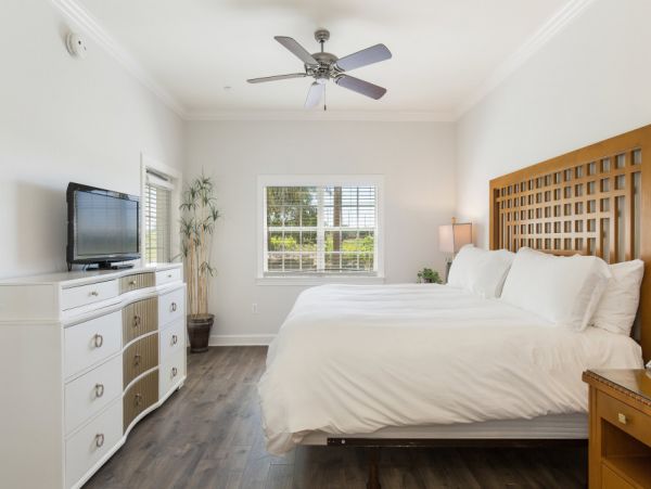 Orlando Home 979783