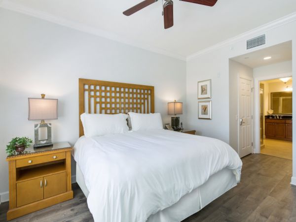 Orlando Home 979783
