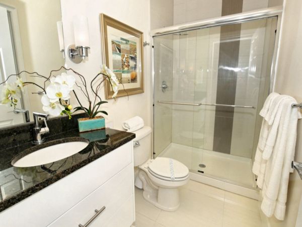Orlando Home 979788