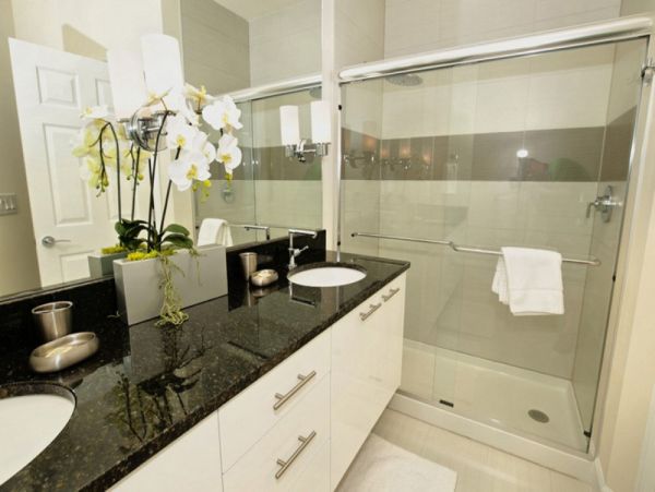 Orlando Home 979788