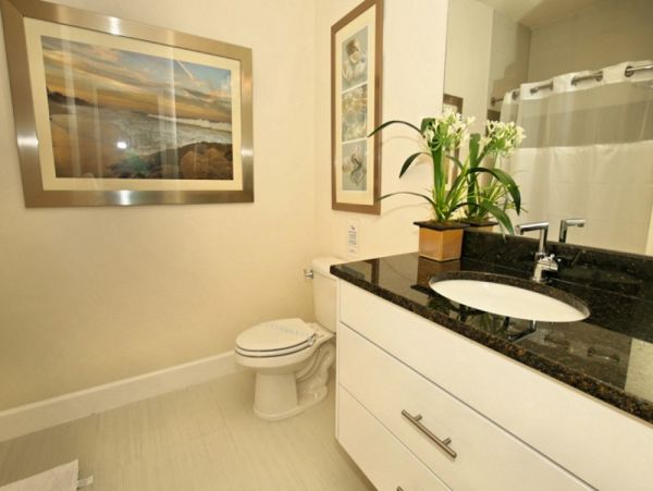 Orlando Home 979788