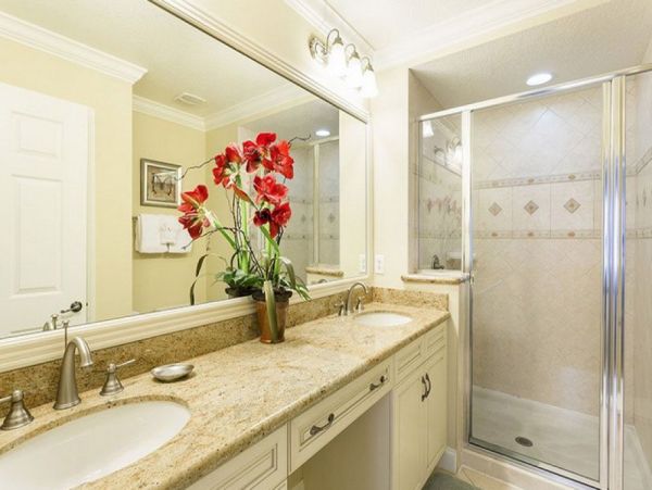 Orlando Home 979802