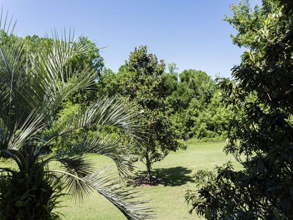 Orlando Home 979805