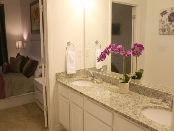 Orlando Home 979881