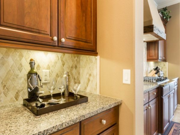 Orlando Home 979893