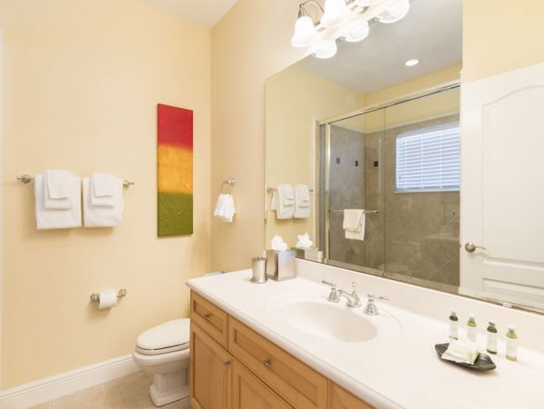 Orlando Home 979896