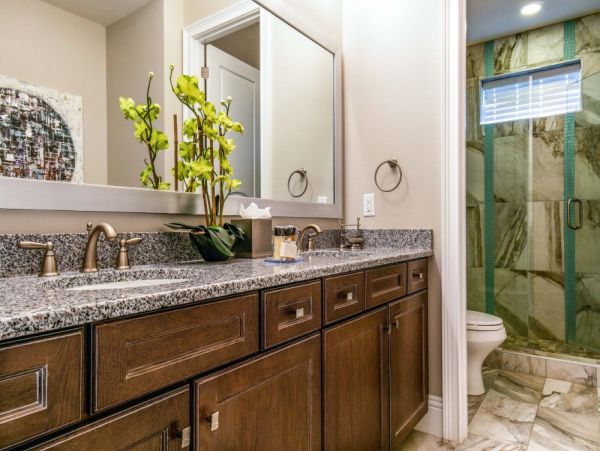 Orlando Home 979964