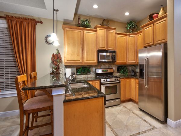 Orlando Home 980025