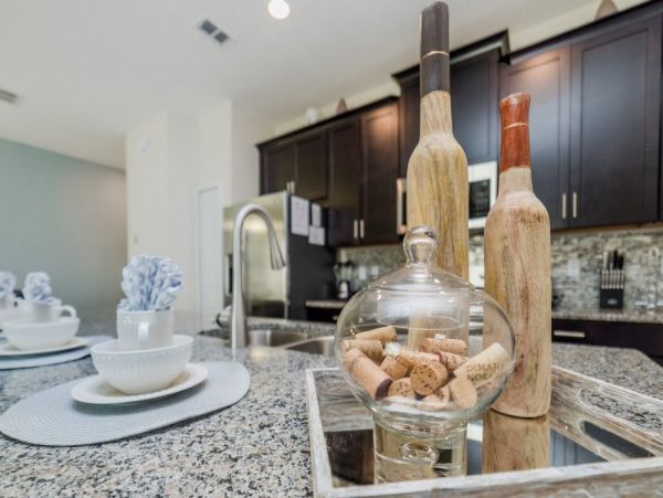 Orlando Home 980058