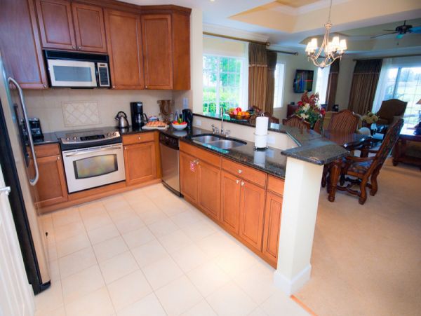 Orlando Home 980080
