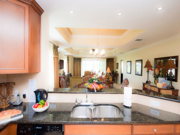 Orlando Home 980080