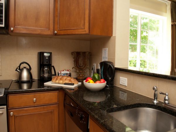 Orlando Home 980080