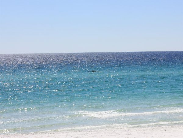 Beaches Of South Walton Condo 980105