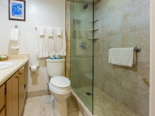 Kahana Condo 980143