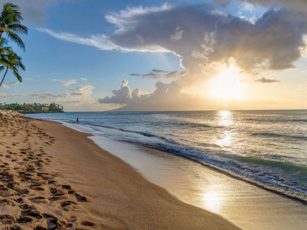Kahana Condo 980144