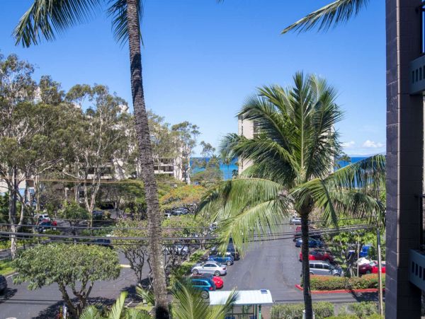 Kahana Condo 980146