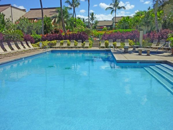 Tropical 2 Bedroom Condo Short Walk to Beach