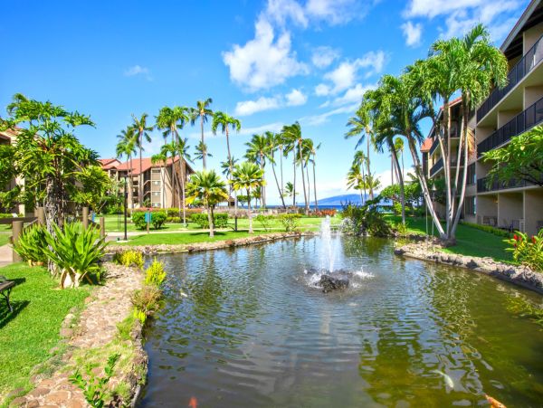 Maui Vacation Rental - Oceanfront Studio on Napili-Honokowai Coast