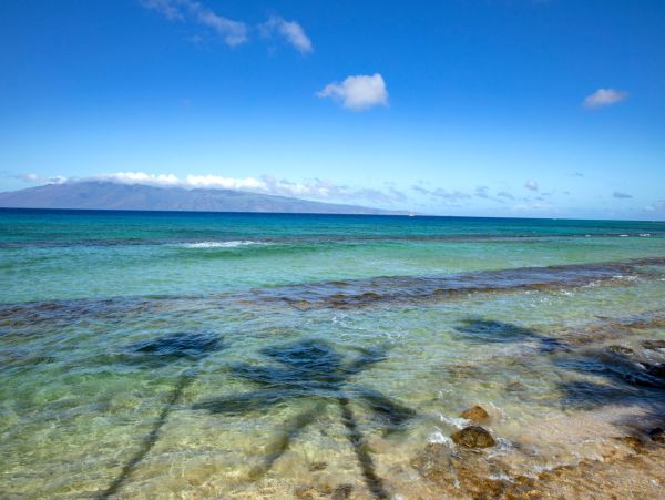 Maui Vacation Rental - Oceanfront Studio on Napili-Honokowai Coast