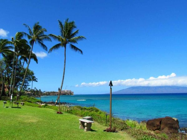 Kahana Condo 980154